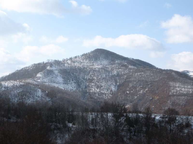 Rogozna bogata rudama