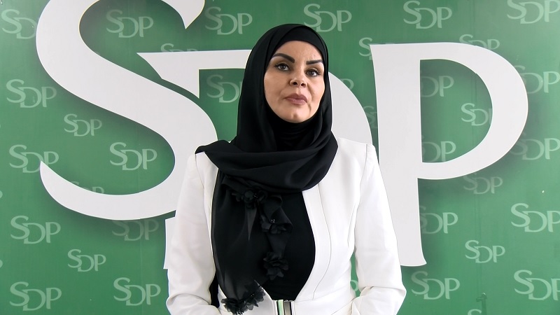 U SDP-u počinje pripremna nastava